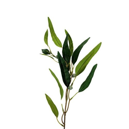 Eucalyptus Spray FB0026-GRN