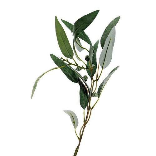 Eucalyptus Spray FB0026-GRY