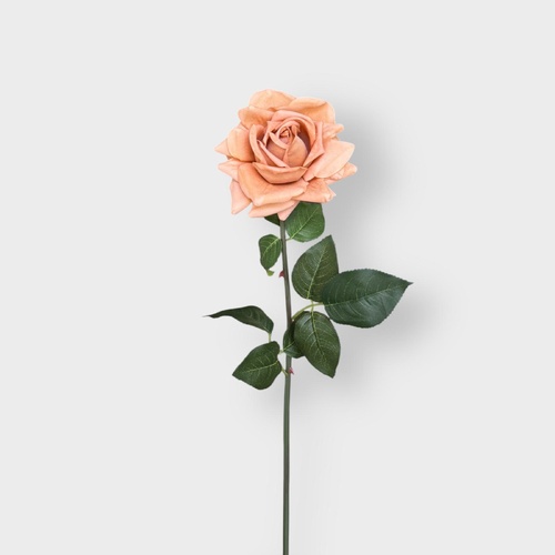 Real Touch Rose FB0029 -KHAKI 