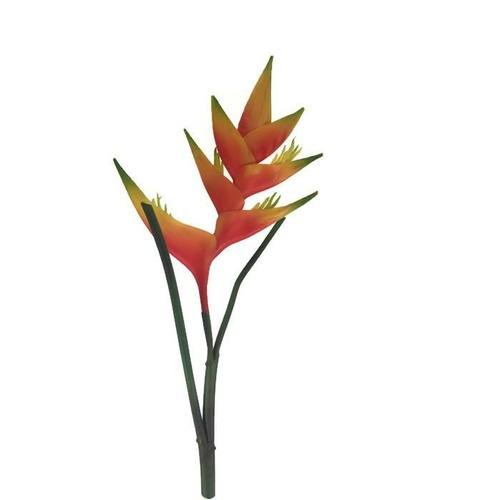 Heliconia Stem FB0056-OR