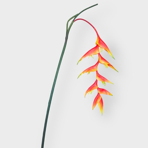 Tall Heliconia spray FB0057-OR