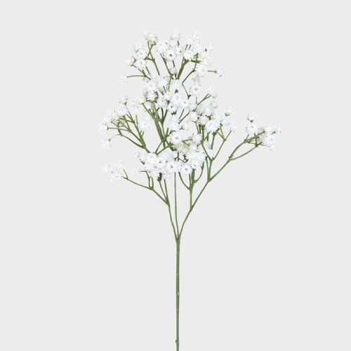 Baby's Breath Spray FB0064-WHT