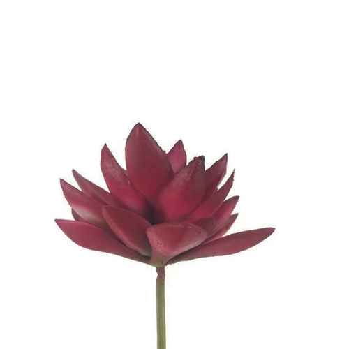 Succulent pick FB0067-MAG