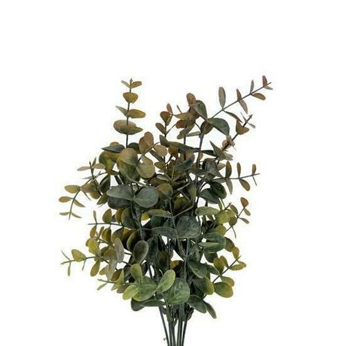 Eucalyptus bunch FB0073-PCH