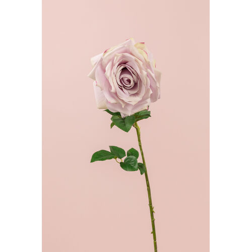 Single large Rose FB0099-LILAC