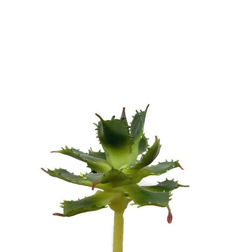 Succulent FB0101-GRN