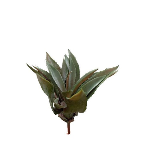Agave FB0106-DRKGRN