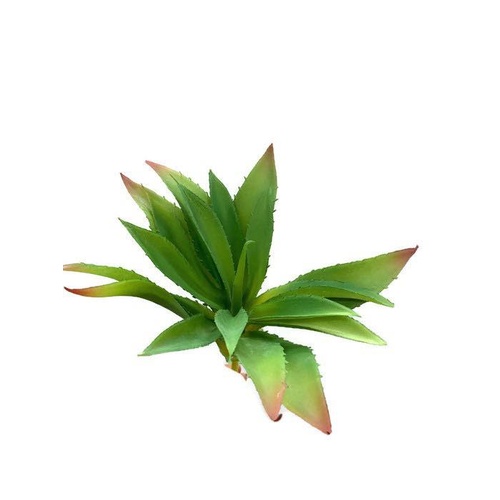 Agave FB0106-LTGRN