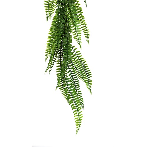 Fern FB0107-GRN