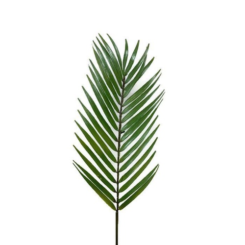 Palm Leaf FB0108-GRN