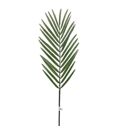 Palm Leaf FB0114-GRN