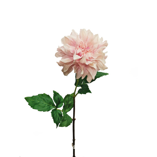 Large Dahlia w/ Curl Petals FB0118-LIL