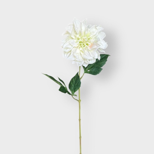 Large Dahlia w/ Curl Petals FB0118-WH