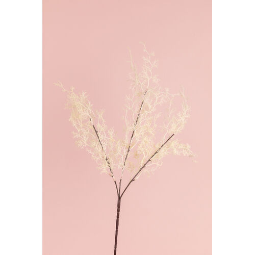 Asparagus Fern FB0126-WHT