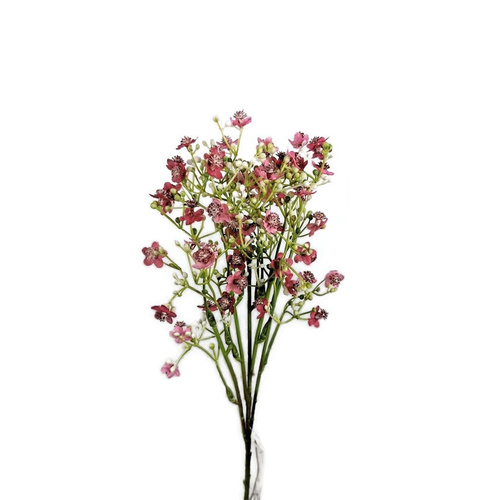 Gypsophila Spray FB0128-LPUR