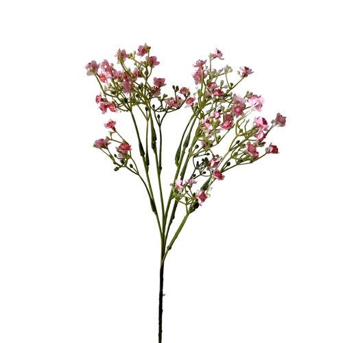 Gypsophila Spray FB0128-PNK