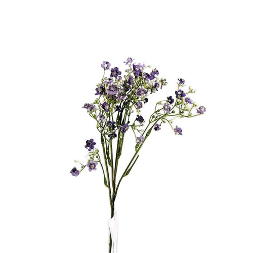 Gypsophila Spray FB0128-PUR