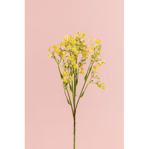 Gypsophila Spray FB0128-YEL