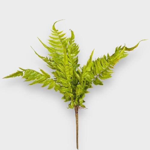 Fern Spray FB0143-E