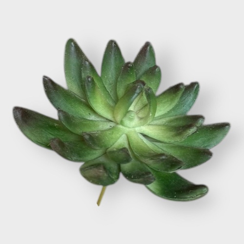 Succulent FB0145-GR