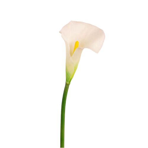 Medium Calla Lily FB0148-WH