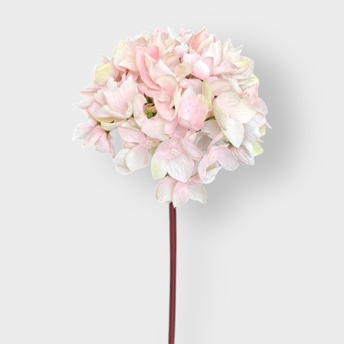 Faux Dried look Hydrangea FB0149-PNK