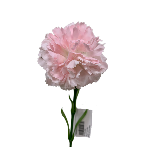 Real Touch Carnation Single FB0151-LPNK