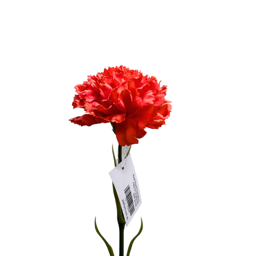 Real Touch Carnation Single FB0151-PUROR