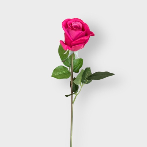 Ecuadorian Rose FB0152-BUR