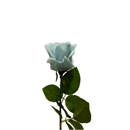 Ecuadorian Rose FB0152-LBL