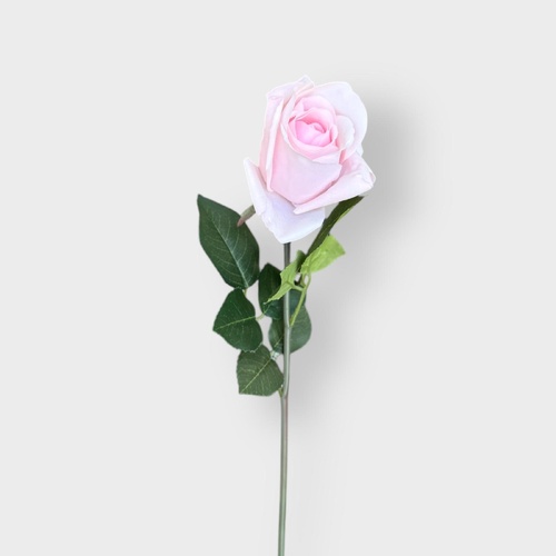 Ecuadorian Rose FB0152-LPNK