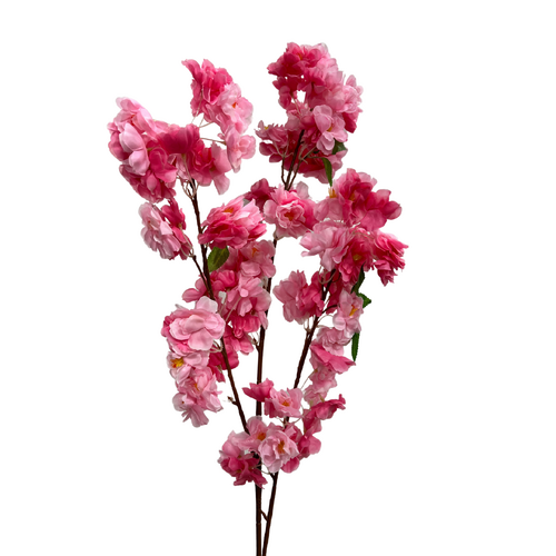 Blossom FB0156-hpnk