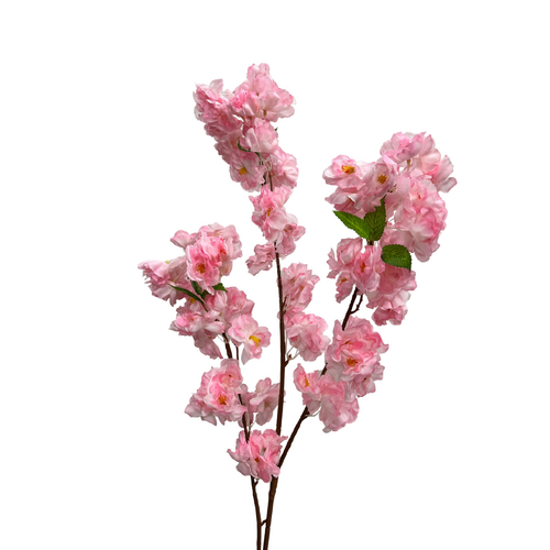 Blossom FB0156-pnk