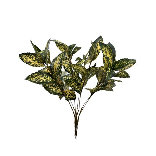 Variegated Foliage bunch FB0163-YELGR