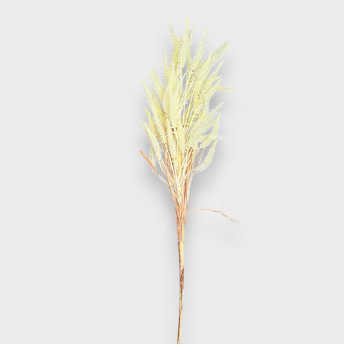 Wheat Bunch FB0166-CHAM