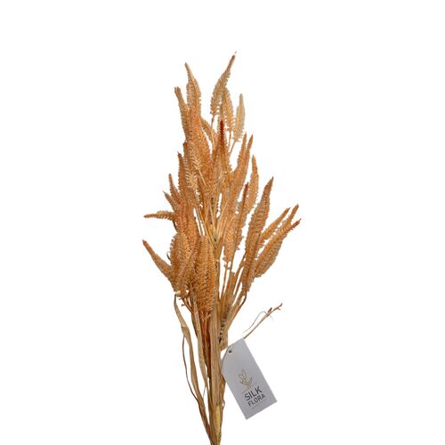 Wheat Bunch FB0166-CHAMPNK