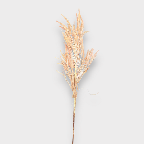 Wheat Bunch FB0166-CHAMPNK