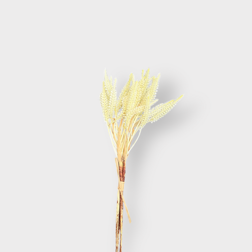 Wheat Bunch FB0167-CHAM