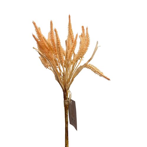 Wheat Bunch FB0167-CHAMPNK