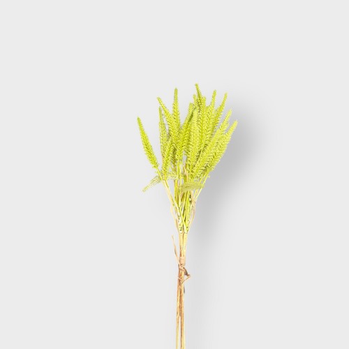 Wheat Bunch FB0167-GRN