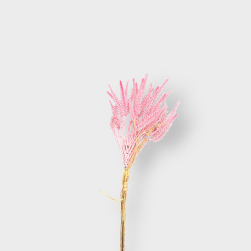 Wheat Bunch FB0167-PNK