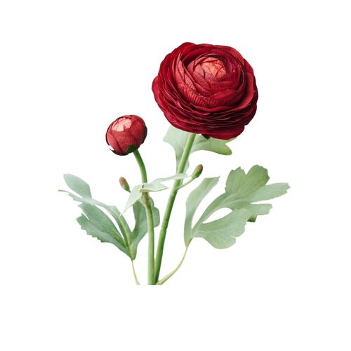 Ranunculus Spray FB09222BU