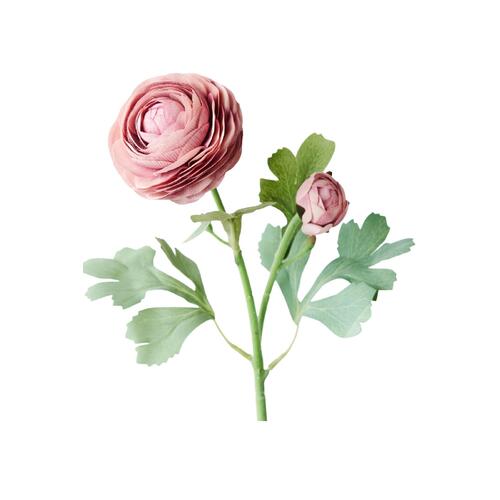 Ranunculus Spray FB09222DP