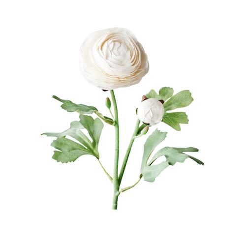 Ranunculus Spray FB9222WW