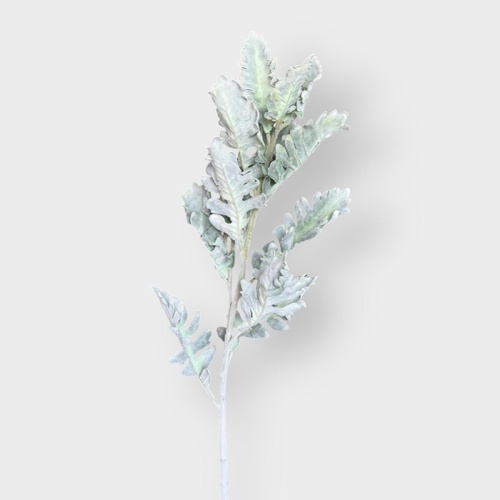 Tall Dusty Miller Spray FE017-GREEN