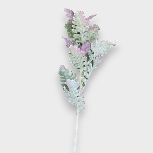 Tall Dusty Miller Spray FE017-PURPLE