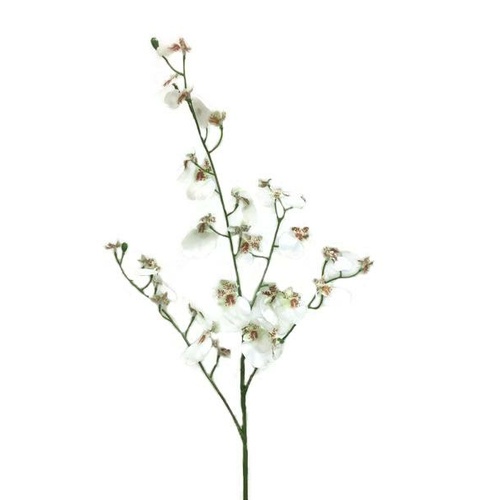 Dancing Lady orchid Spray FE026-WHITE