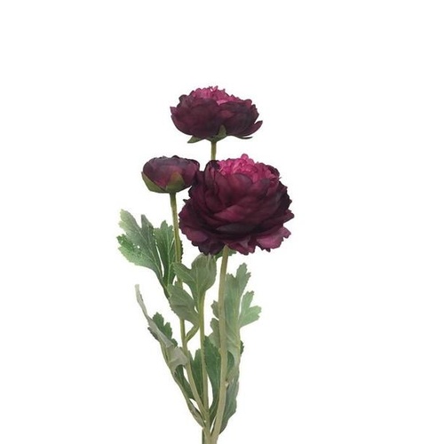 Ranunculus Spray FE027-BUR