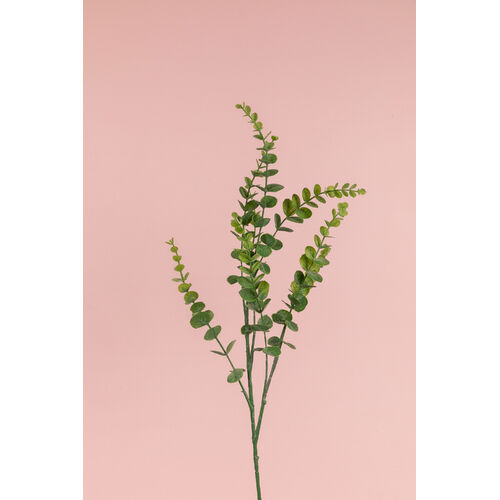 Eucalyptus Spray FE031-GREEN