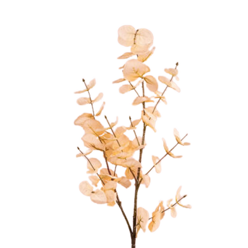 Eucalyptus Branch FE050-CR